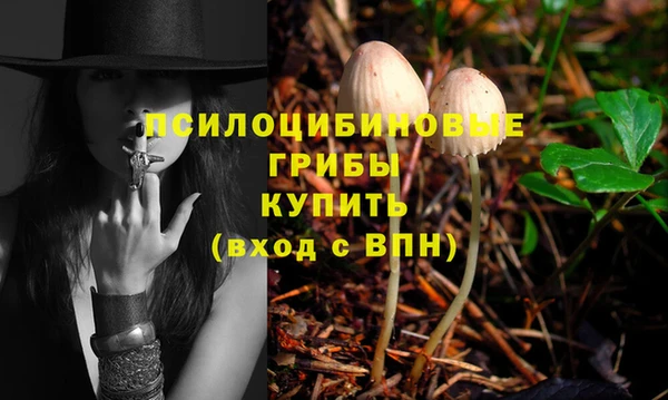 PSILOCYBIN Арсеньев
