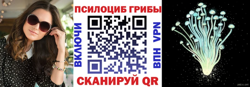 Галлюциногенные грибы Psilocybe  darknet телеграм  Заозёрный  купить наркотик 